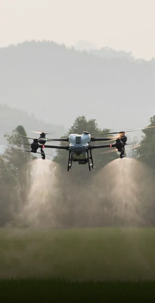 niektóre modele dronów DJI Agriculture umożliwiają opryski drzew owocowych