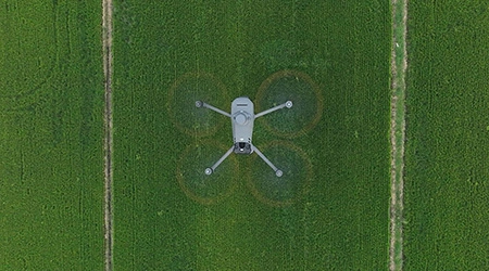 Zwiększ plony dzięki DJI Mavic 3 Enterprise i DroneDeploy